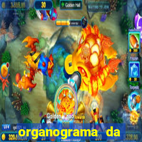 organograma da cacau show